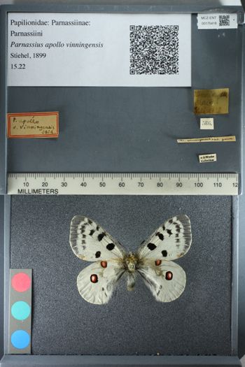 Media type: image;   Entomology 175418